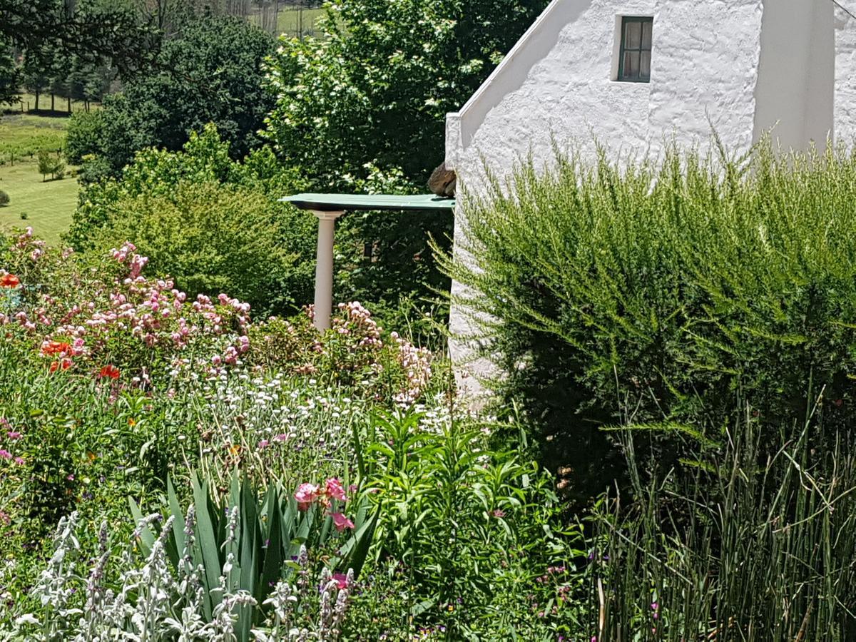 Rosebury Cottage Underberg Εξωτερικό φωτογραφία